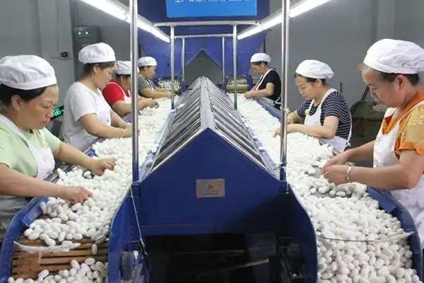 quality inspection of raw silk fabric before production
