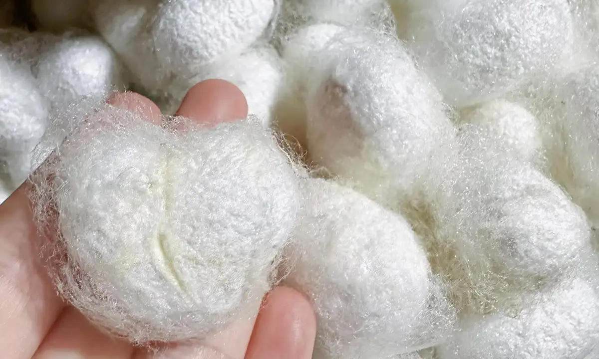 Natural silk cocoons used in silk production