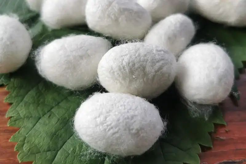 Grade 6A mulberry silk material structure and quality